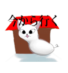 ひょうたん猫 ぴっきー（個別スタンプ：23）