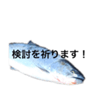 【北海道釣りチャンネル】釣り用スタンプ（個別スタンプ：13）
