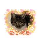 うちの子供達久しぶりのスタンプ（個別スタンプ：4）