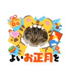 うちの子供達久しぶりのスタンプ（個別スタンプ：5）