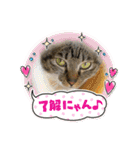 うちの子供達久しぶりのスタンプ（個別スタンプ：7）