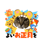 うちの子供達久しぶりのスタンプ（個別スタンプ：10）