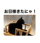 うちの子供達久しぶりのスタンプ（個別スタンプ：11）