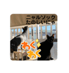 うちの子供達久しぶりのスタンプ（個別スタンプ：12）