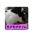 うちの子供達久しぶりのスタンプ（個別スタンプ：13）