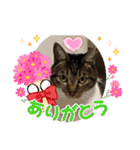 うちの子供達久しぶりのスタンプ（個別スタンプ：20）