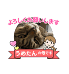 うちの子供達久しぶりのスタンプ（個別スタンプ：37）