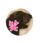 うちの子供達久しぶりのスタンプ（個別スタンプ：38）