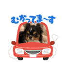 もかち3（個別スタンプ：4）