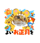 うちのねこーズ3（個別スタンプ：10）