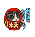 うちのねこーズ3（個別スタンプ：16）