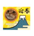 うちのねこーズ3（個別スタンプ：17）