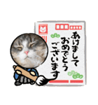 うちのねこーズ3（個別スタンプ：18）