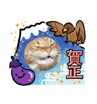 うちのねこーズ3（個別スタンプ：19）