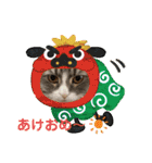 うちのねこーズ3（個別スタンプ：20）