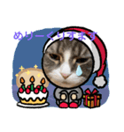 うちのねこーズ3（個別スタンプ：23）