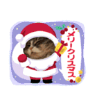 うちのねこーズ3（個別スタンプ：24）