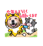 年末年始のごあいさつスタンプ（個別スタンプ：1）