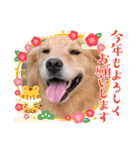 年末年始のごあいさつスタンプ（個別スタンプ：3）
