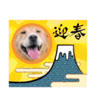 年末年始のごあいさつスタンプ（個別スタンプ：4）