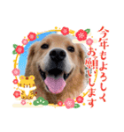 年末年始のごあいさつスタンプ（個別スタンプ：6）