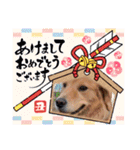 年末年始のごあいさつスタンプ（個別スタンプ：7）