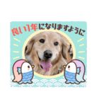 年末年始のごあいさつスタンプ（個別スタンプ：8）