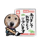 年末年始のごあいさつスタンプ（個別スタンプ：9）
