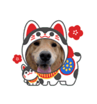 年末年始のごあいさつスタンプ（個別スタンプ：15）