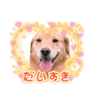年末年始のごあいさつスタンプ（個別スタンプ：26）