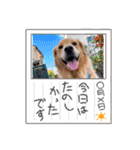 年末年始のごあいさつスタンプ（個別スタンプ：30）