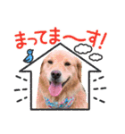 年末年始のごあいさつスタンプ（個別スタンプ：31）