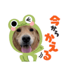 年末年始のごあいさつスタンプ（個別スタンプ：35）