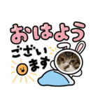 年中使える家猫スタンプ（個別スタンプ：3）