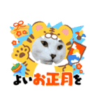 年中使える家猫スタンプ（個別スタンプ：18）