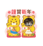 年中使える家猫スタンプ（個別スタンプ：19）