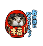 年中使える家猫スタンプ（個別スタンプ：21）
