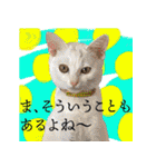 ぶりてぃーずのスタンプ（個別スタンプ：1）