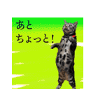 ぶりてぃーずのスタンプ（個別スタンプ：6）