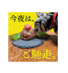 ぶりてぃーずのスタンプ（個別スタンプ：7）