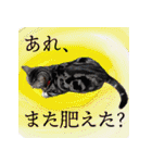 ぶりてぃーずのスタンプ（個別スタンプ：10）