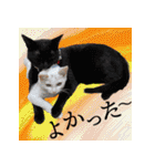 ぶりてぃーずのスタンプ（個別スタンプ：22）