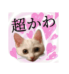 ぶりてぃーずのスタンプ（個別スタンプ：33）