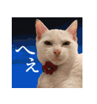 ぶりてぃーずのスタンプ（個別スタンプ：34）