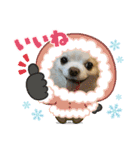 8.かりん（個別スタンプ：4）