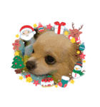 8.かりん（個別スタンプ：7）