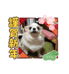 8.かりん（個別スタンプ：8）