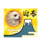 8.かりん（個別スタンプ：9）
