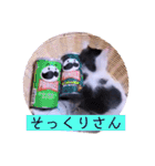 可愛いごましちゃんスタンプ（個別スタンプ：18）