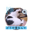可愛いごましちゃんスタンプ（個別スタンプ：26）